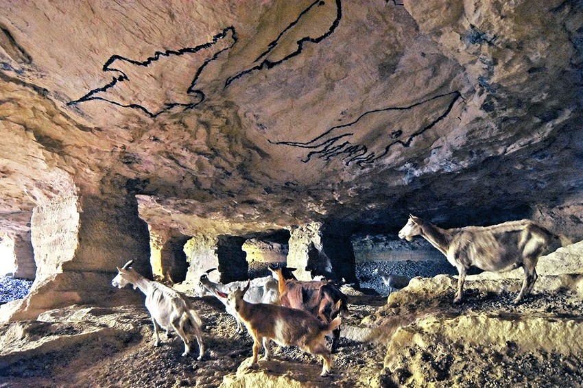 Rakovac, Beli Majdan