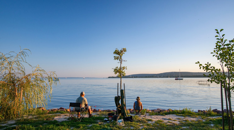 Ragadozóhal-fogási tilalmat vezettek be egy 500 méteres szakaszon / Fotó: Shutterstock