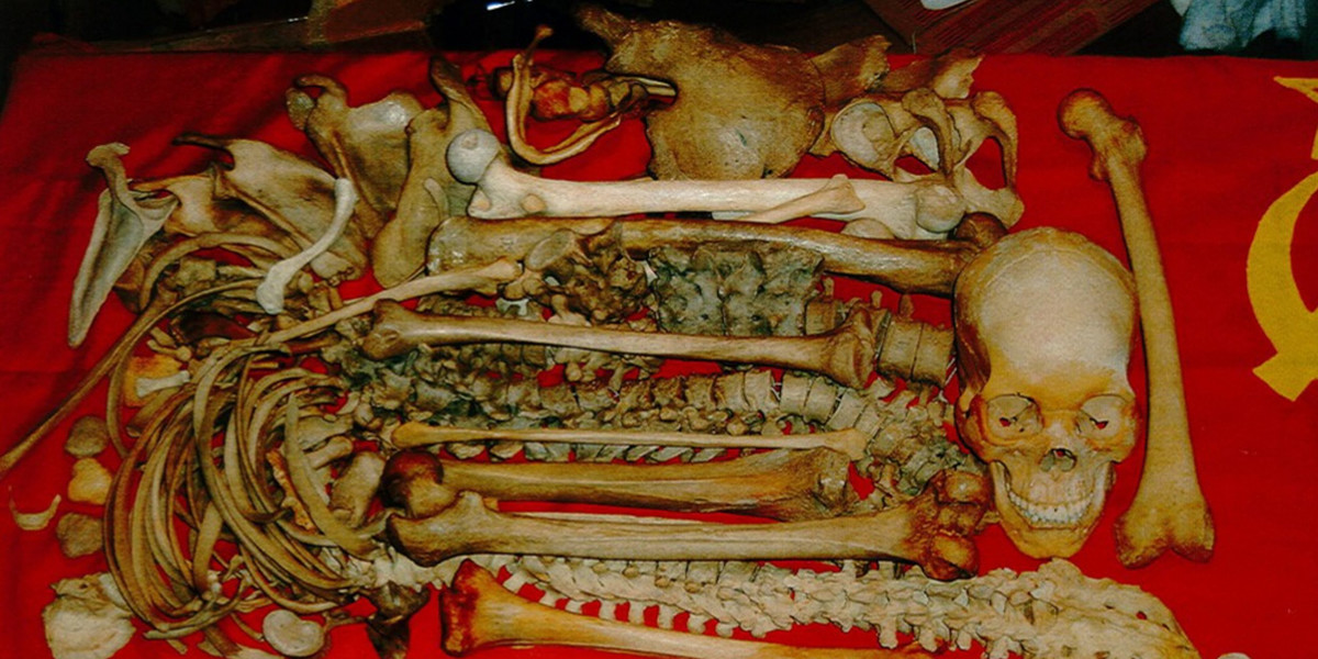 Sex ze szkieletami