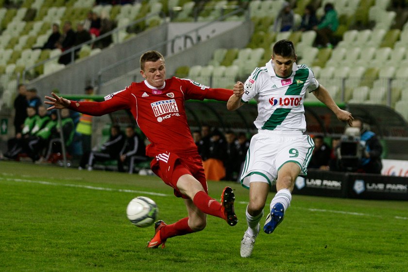 Lechia gromi Piasta