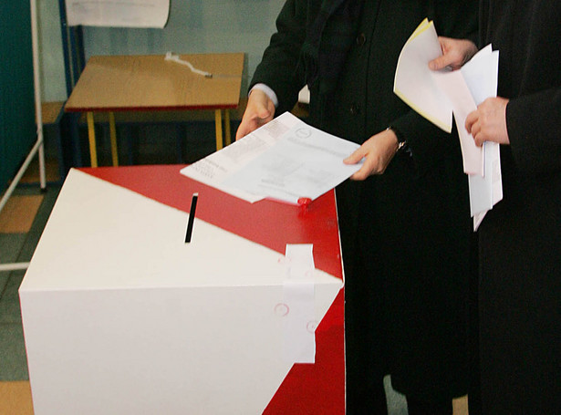 Głosowanie w wyborach przez pośrednika