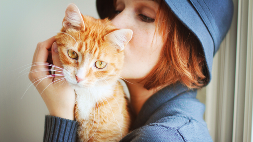 Kvíz: 8 kérdés, amire minden macskatartónak illik helyesen válaszolnia