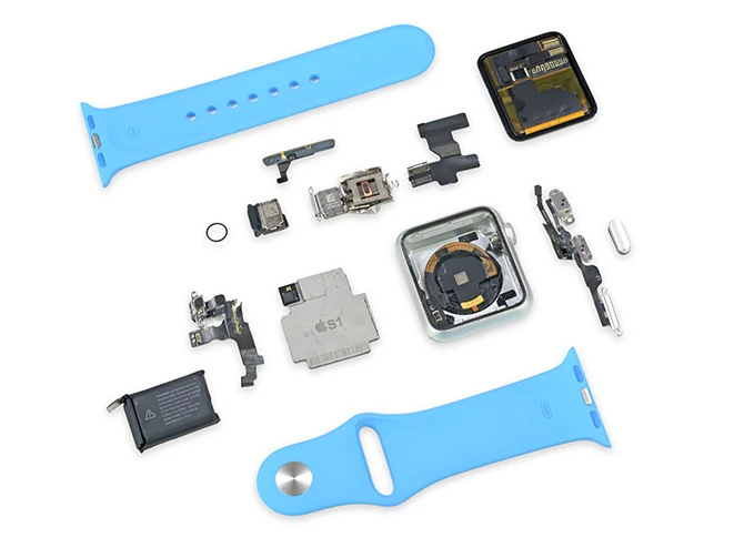 Tak wygląda Apple Watch rozebrany na części