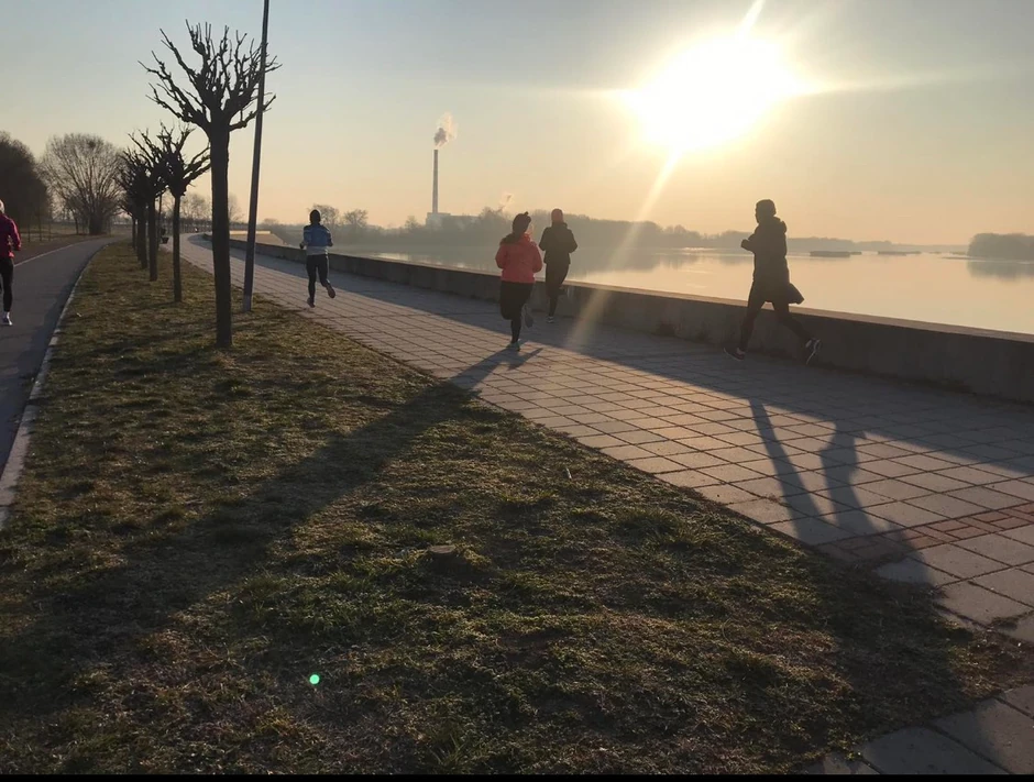 Sunčani kej, Novi Sad