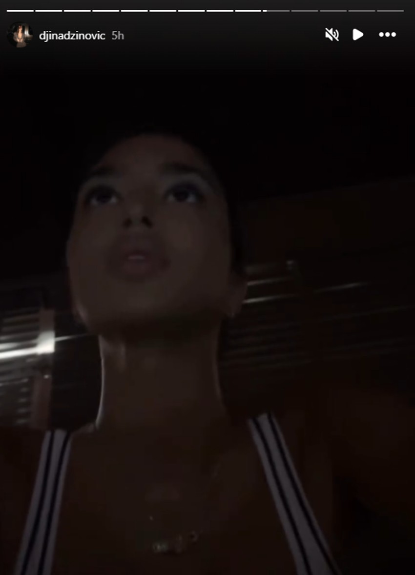 Đina Džinović, objava