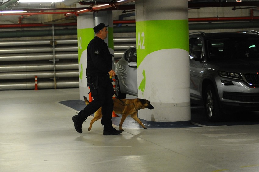 rajiceva bomba garaza hronika foto milan ilic (2)