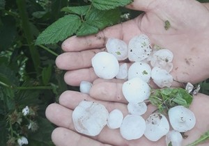 Jako nevreme pogodilo Ivanjicu