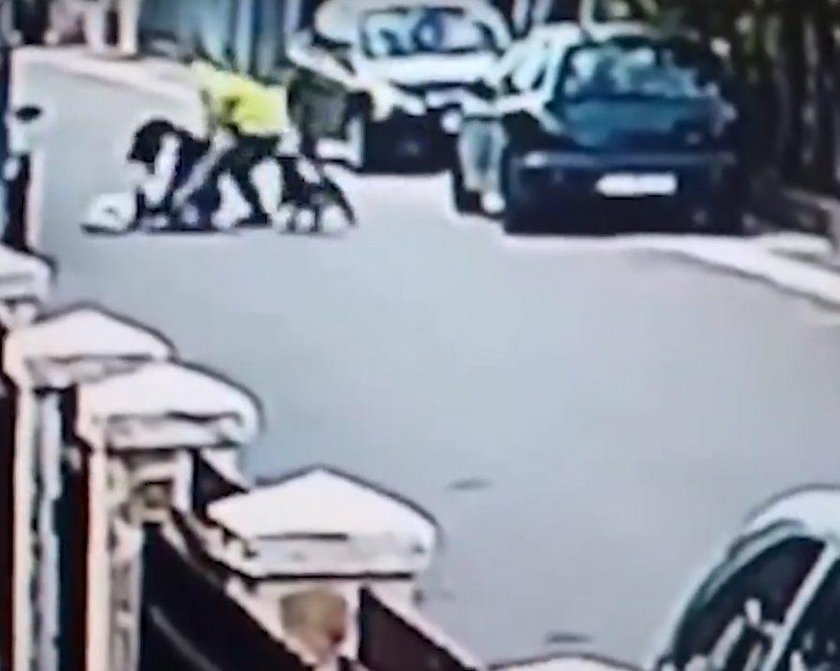 Bezpański pies uratował kobietę. To wideo podbija sieć. Hit internetu