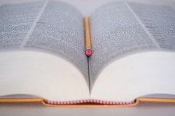 "Czym skorupka..." QUIZ o starych polskich przysłowiach. 6/10 zalicza, ale na pewno stać Cię na więcej