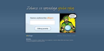 Alledrogo.pl, czyli Allegro pod lupą