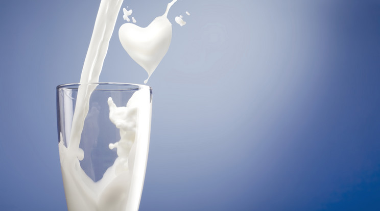 Tíz százalékkal emelkedhet a tej és tejtermékek ára /Fotó: Shutterstock