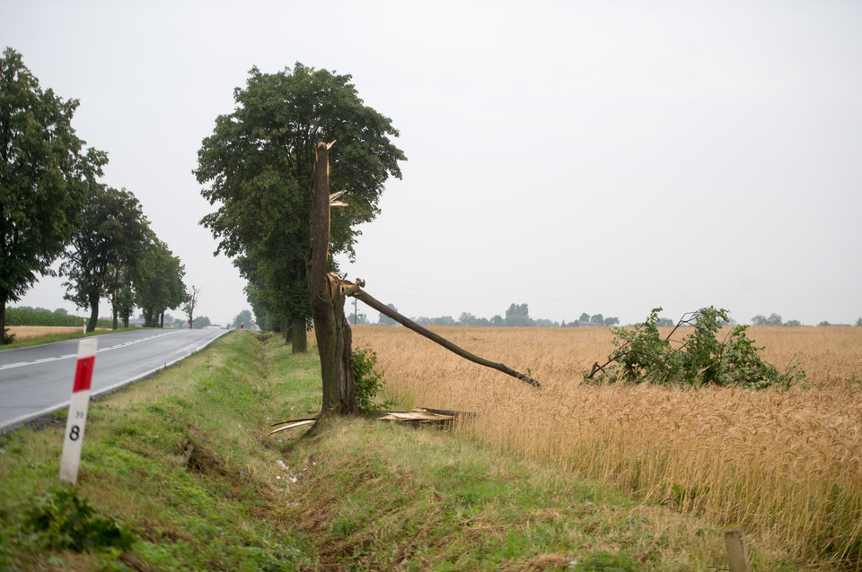 Szydłów-Kolonia k. Piotrkowa Trybunalskiego