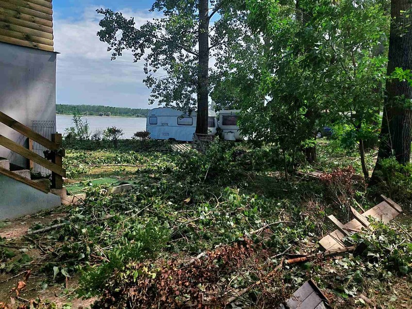 Šuma u Beočinu dan nakon superćelijske oluje