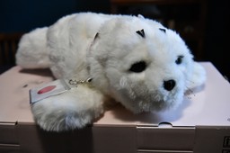 Foka-robot ze sztuczną inteligencją przyniesie ulgę pacjentom. Prezent z Japonii dla polskiego szpitala