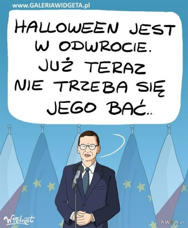 Mem polityczny