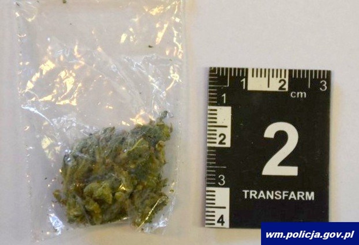 Marihuana znaleziona u 19-latka