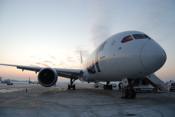 Samolot Boeing 787 Dreamliner w barwach LOT. Problemy Dreamlinerów przyniosły duze straty i był jedną z przyczyn wystąpienia o pomoc przewoźnika. Fot. PLL LOT