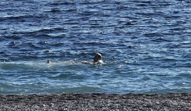 Kupanje u januaru u Budvi 