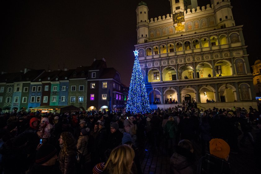 Miejska choinka w Poznaniu rozświetlona