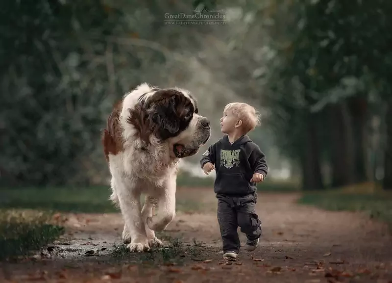 little-kids-big-dogs-photography-andy-seliverstoff-5-584fa907a3cb6__880