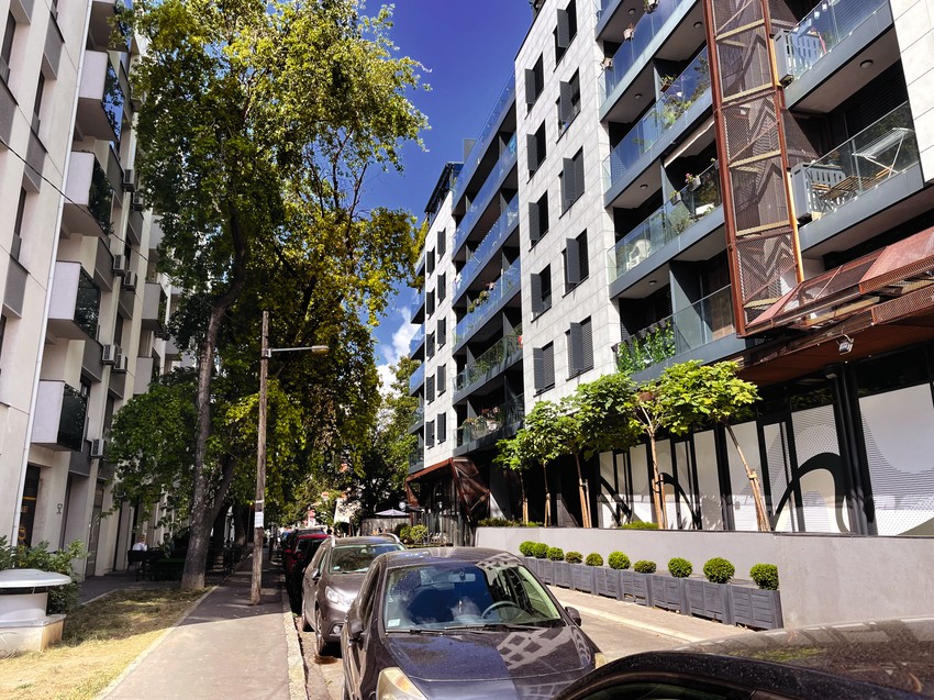 Komšije Alekse Avramovića