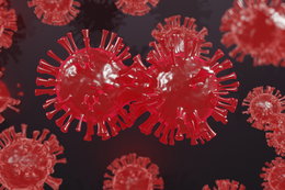 Kolejna mutacja koronawirusa. Odkryli ją naukowcy z Finlandii