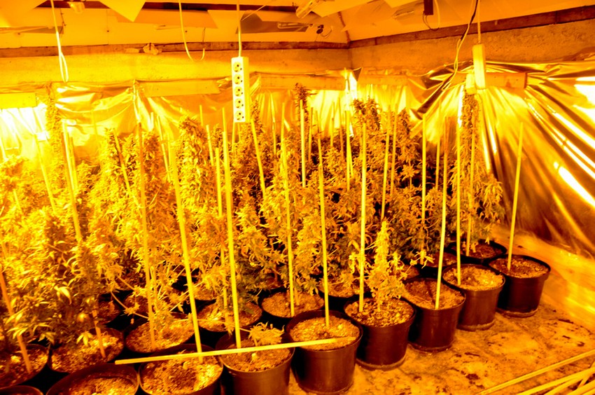 Policija je zaplenila oko 62 kilograma droge