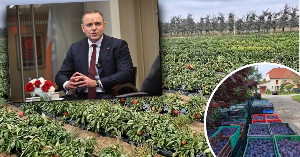 Napisał list do prezydenta. Ujawnia skandaliczne praktyki. "Śmieją się z rolników"