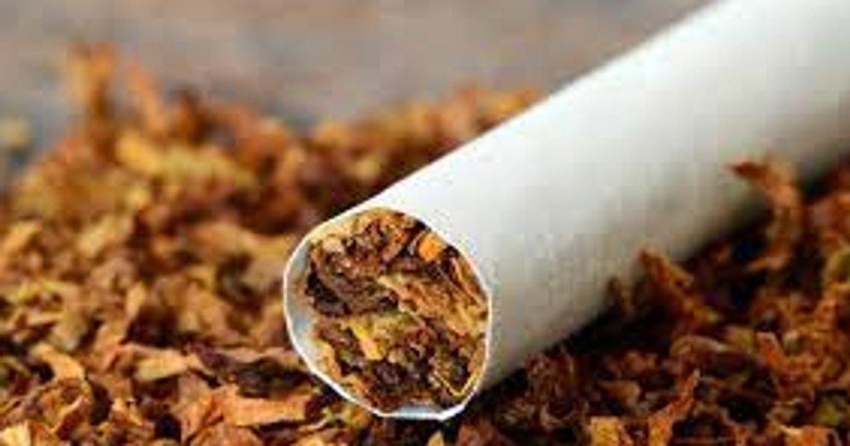 CISLAC urges Nigerian government to raise tobacco taxes to save lives - Vimarsana News