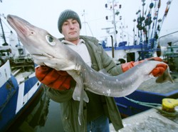 Złowili rekina w Bałtyku