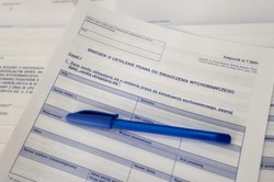 Ponad 170 tys. wniosków w programie "Rodzina 500 plus" przez internet. "Pieniądze są już w drodze"