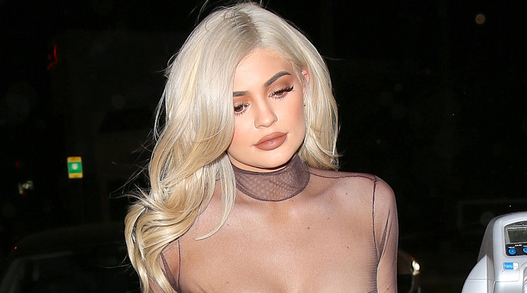 Kylie Jenner ismét nekivetkőzött /Fotó:Northfoto