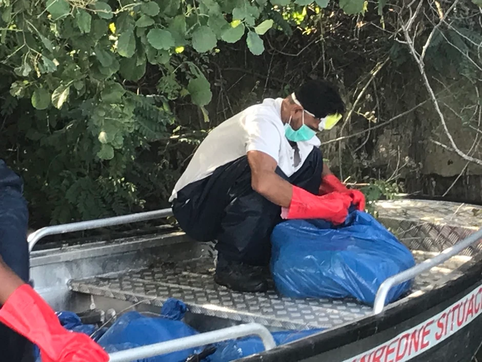 Leševi životinja, reka Bojana, Crna Gora