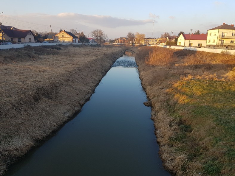 Borzęcin