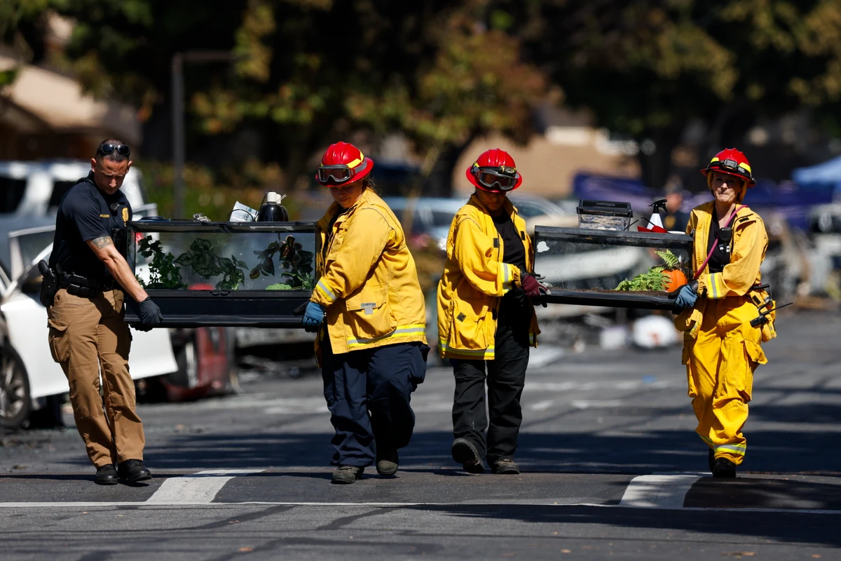Katastrofa samolotu w San Diego. Wszystkie osoby, które były na pokładzie nie żyją