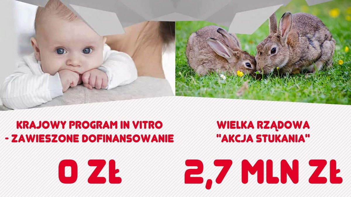 Jako "skandal" i promocję "wielkiego stukania za publiczne pieniądze" określają łódzcy politycy SLD spot resortu zdrowia, którego głównymi bohaterami uczyniono króliki. Reklamówka za około trzy miliony złotych w założeniu promować miała prokreację, co nie do końca się udało. A o spocie z płodnymi królikami głośno jest na całym świecie.