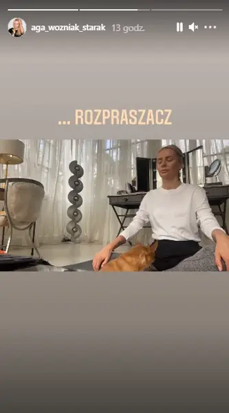 Agnieszka Woźniak-Starak pokazała fragment domu / Instagram