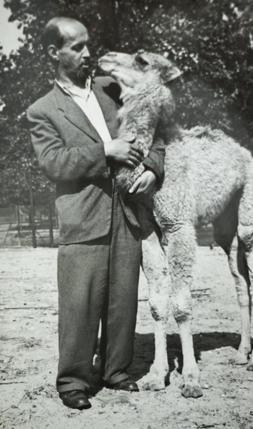 Chorzów. Śląski Ogród Zoologiczny ma 60 lat