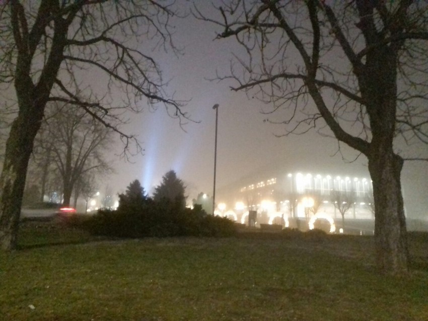 Karađorđev park u magli