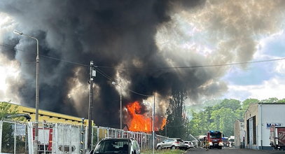 Pożar toksycznych odpadów w Przylepie. "Jak poszliśmy w okolice tej hali, to wymiotowałam jak kot"