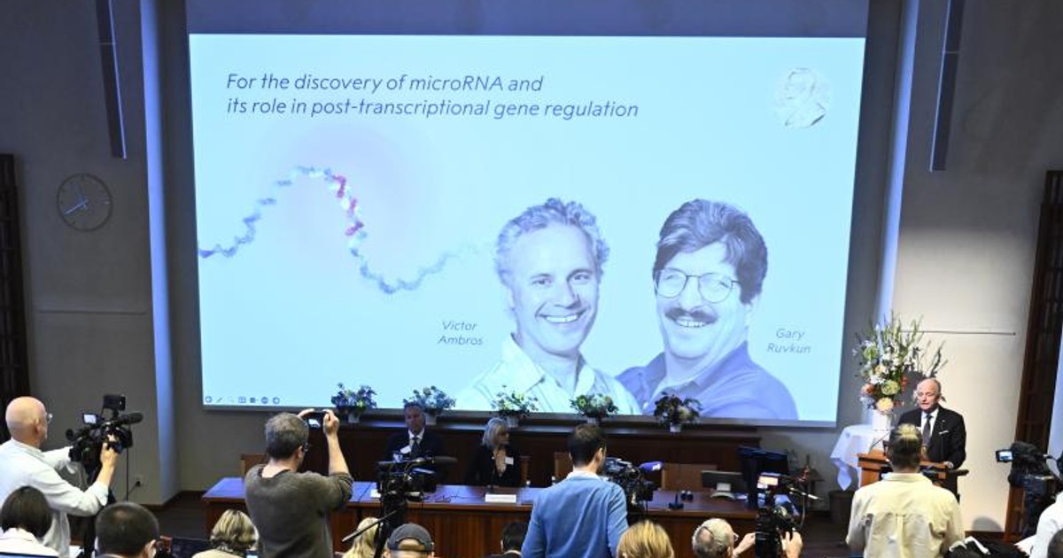Karikó Katalin után két amerikai kutató kapta az orvosi Nobel-díjat