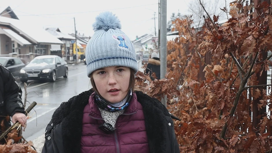 Kruševac  prodaja badnjaka