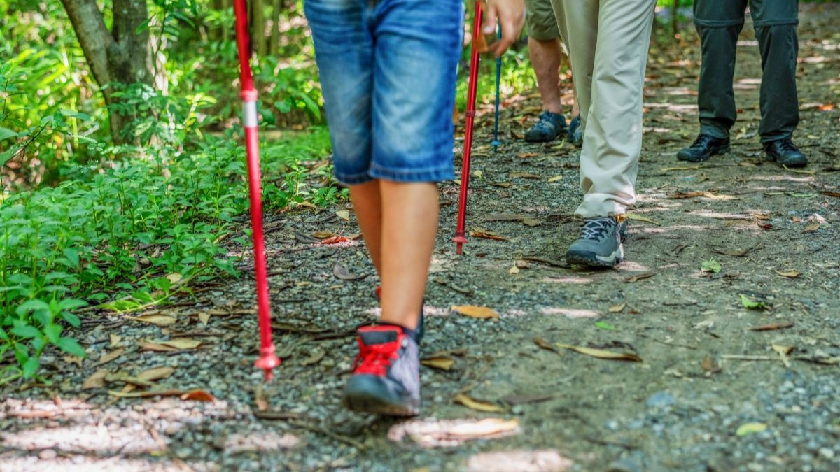 O mie de elevi din județul Sibiu au schimbat sala de clasă cu trasee montane, într-un program susținut de Consiliul Județean: „Nu putem avea un sistem de ecoturism cu adevărat funcţional fără educaţie”