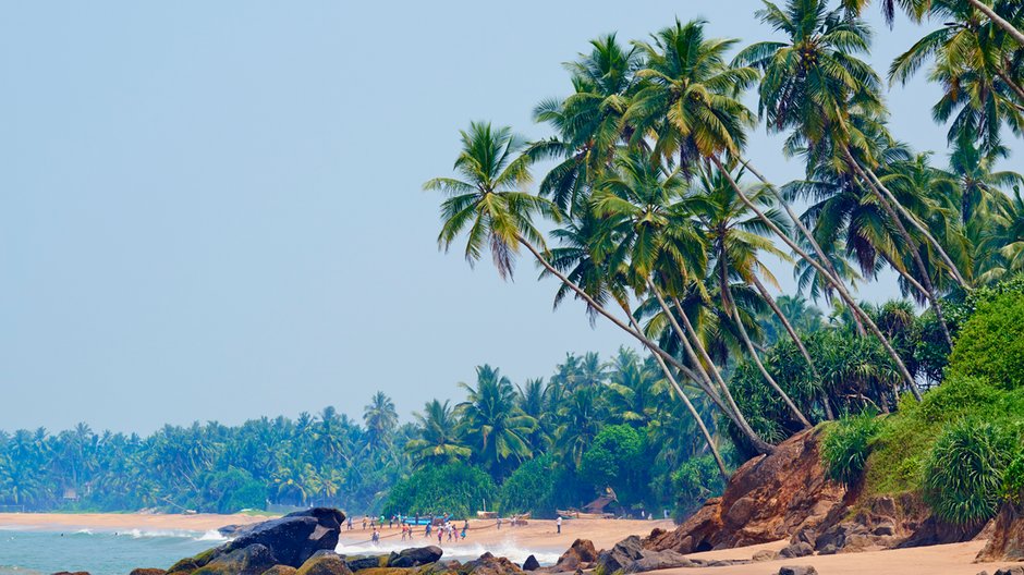 Egzotyczne wakacje w krainie herbaty. Sri Lanka zachwyca malowniczymi krajobrazami