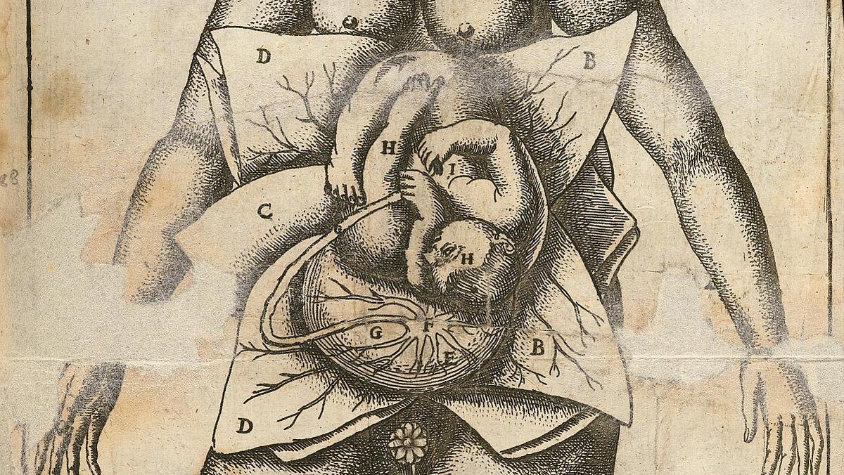 L0051871 Illustration of woman in utero