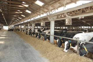 Wizytówka polskiego rolnictwa