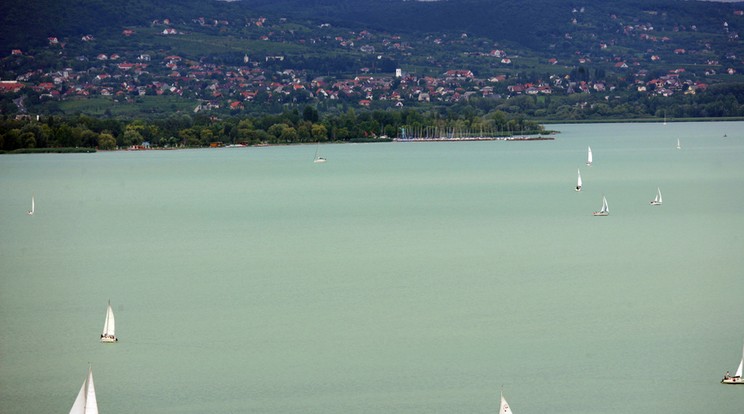 A Balatonon csupán kettő kutyabarát strand van, ez lehetne a harmadik - azonban be kell érte áldozni Keszthely egyetlen ingyenes standját /Fotó: Northfoto