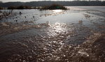 Tajemnicza śmierć w Lubuskiem. Zwłoki w zamarzniętym stawie