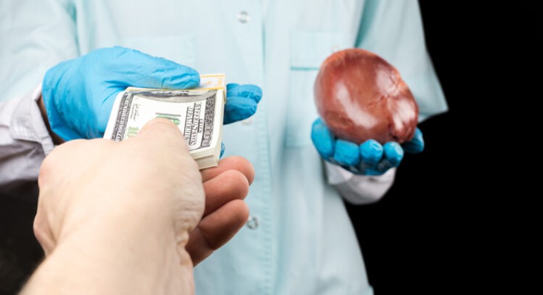 Organ harvesting