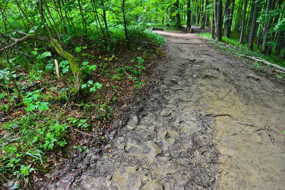 Bieszczady to jeden z najbardziej dzikich i tajemniczych zakątków Polski